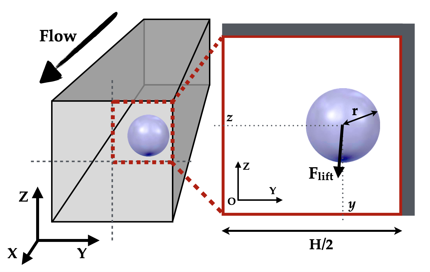 Inertial Focusing of Spherical Particles in Microfluidic Channels